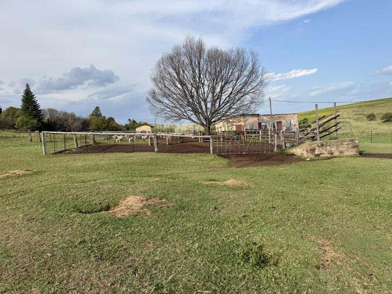 0 Bedroom Property for Sale in Harrismith Free State